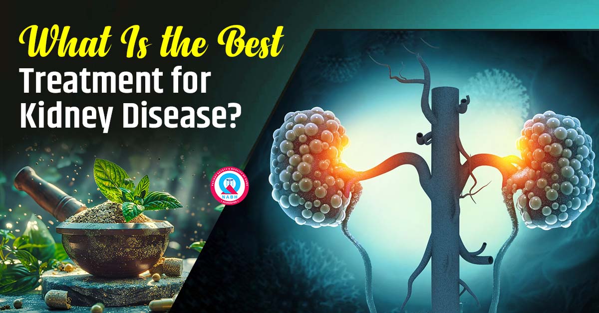 what-is-the-best-treatment-for-kidney-disease